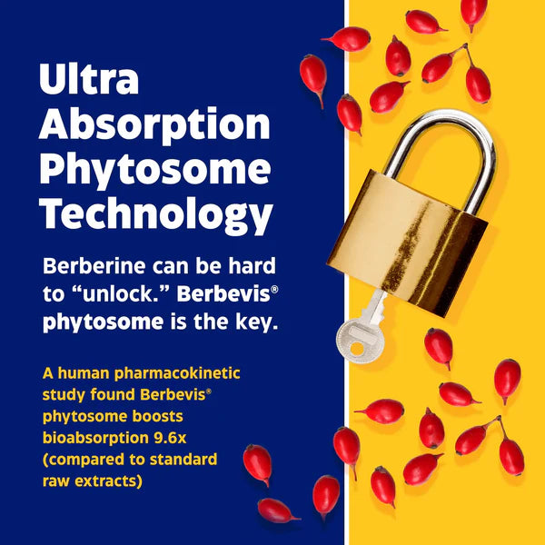 Berberine Phytosome | Enzymedica