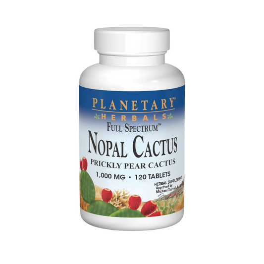 Nopal Cactus | Planetary
