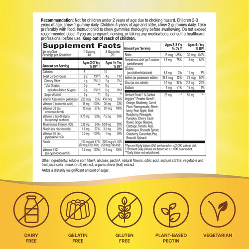 Alive! Zero Sugar Gummy Multivitamin for Kids | Nature's Way