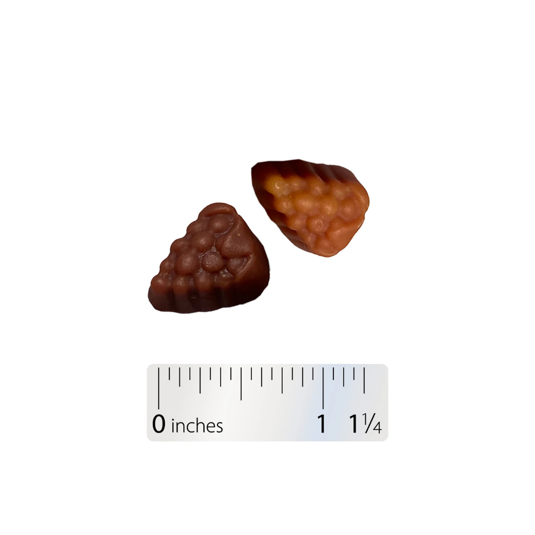 Alive!® Women's 50+ Gummy Multivitamin | Nature's Way