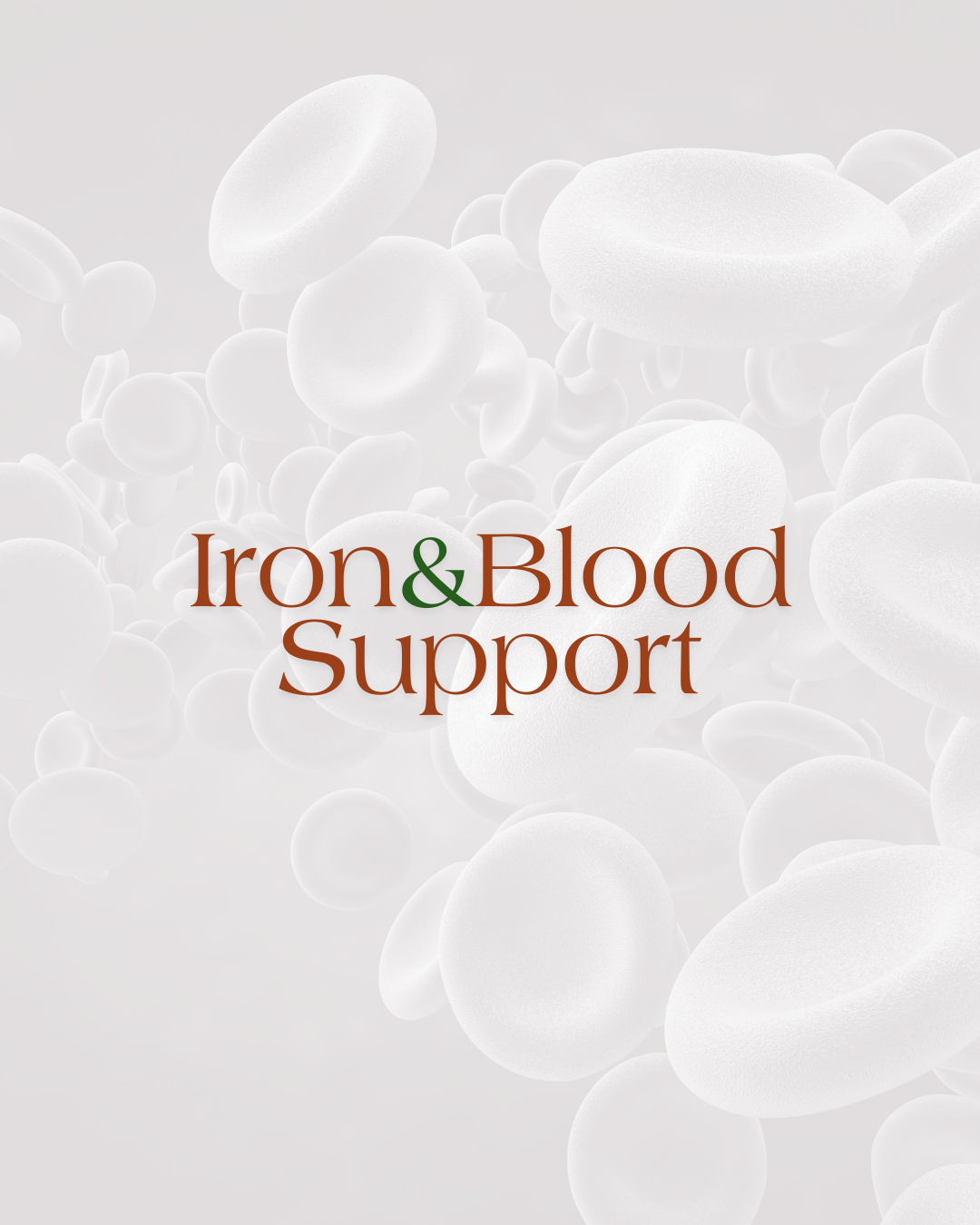 Iron & Blood Support