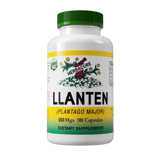 Llanten | Herbacure